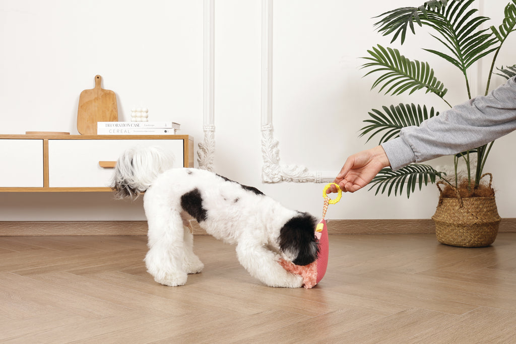 Slippers Dog toy Bunny