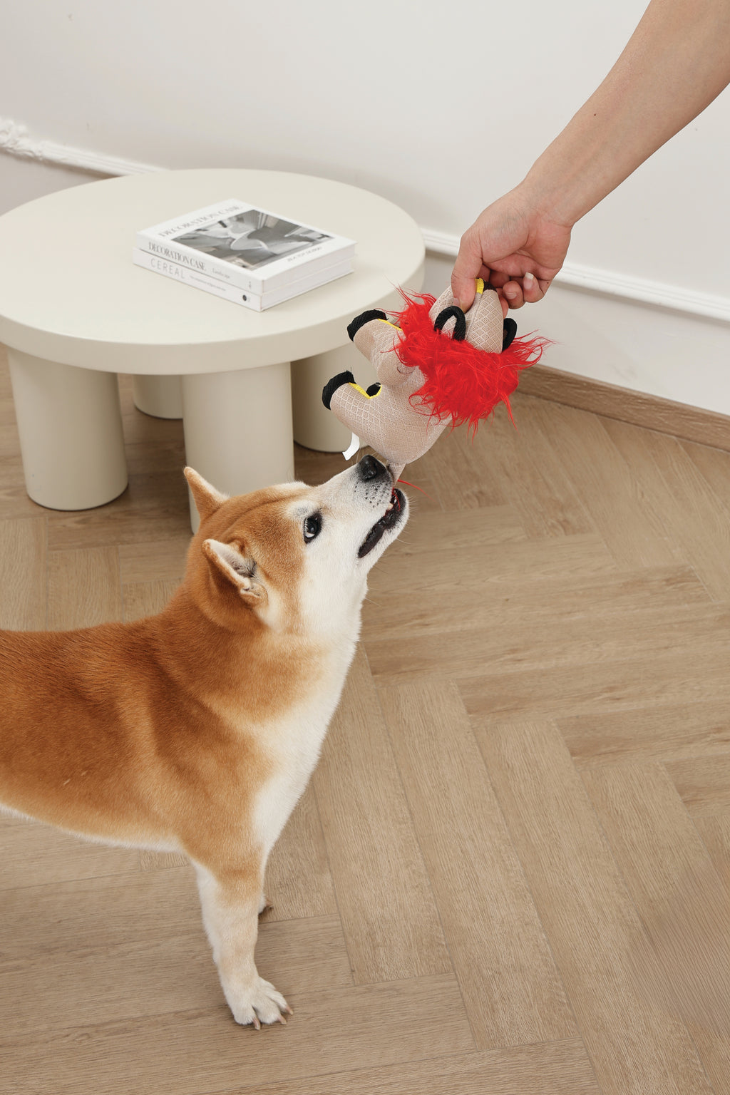 MEGA MINI Dog toy Mini Lion