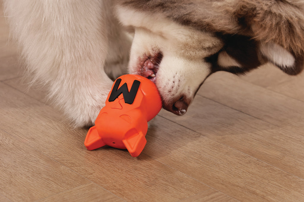 POWER CHEW Dog toy Citrine