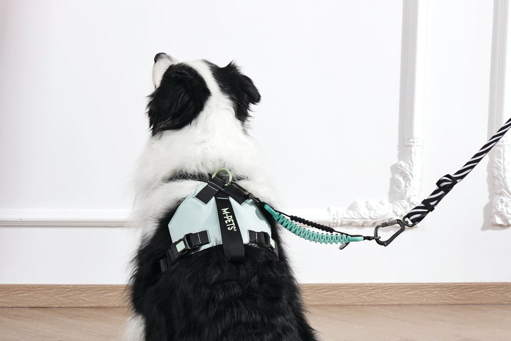 ORIGAMI Dog Harness leafy crease