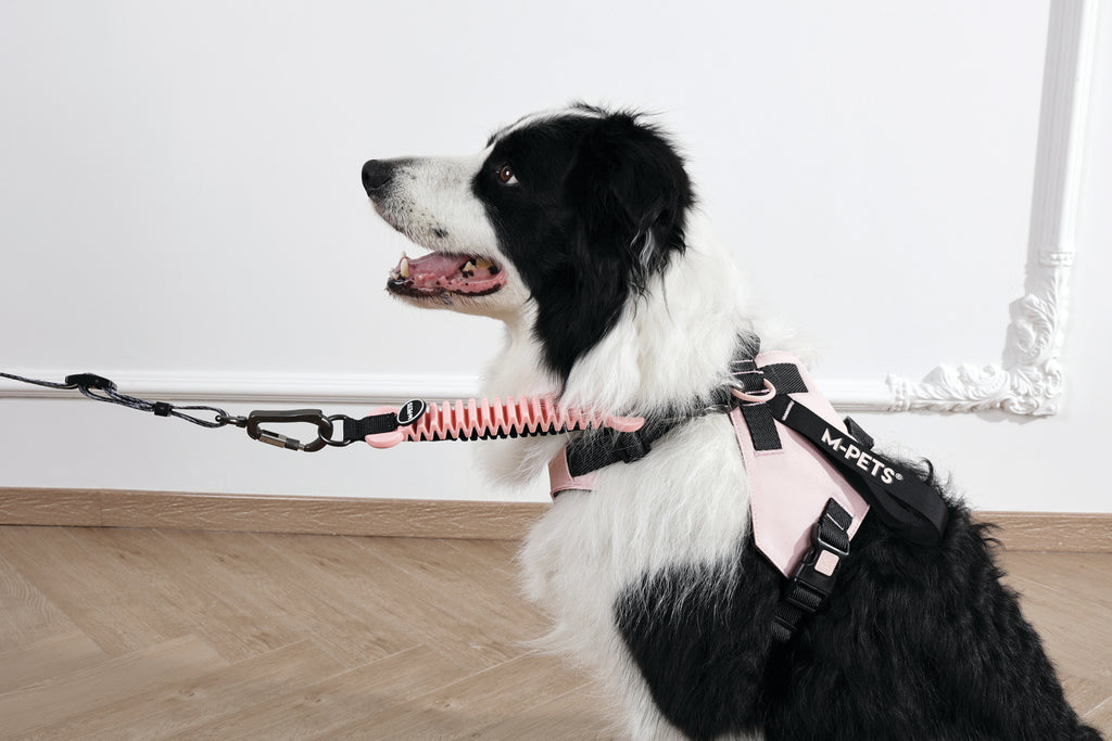 PULL POWER Shock absorber Strike Pink