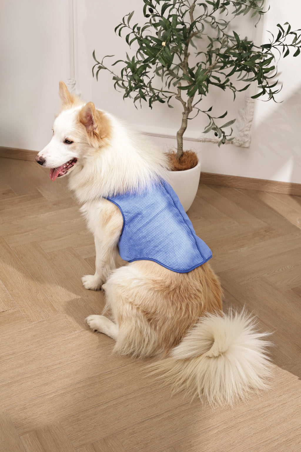 COOLING vest