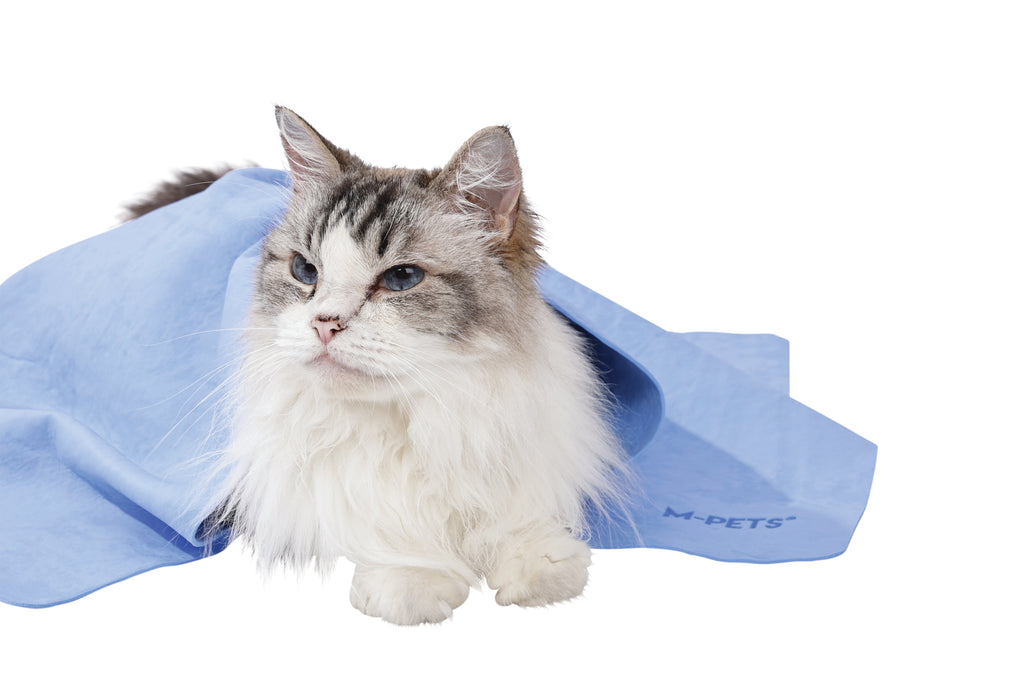 BATHTIME Quick-dry Towel for Cats and Dogs Blue Bubble