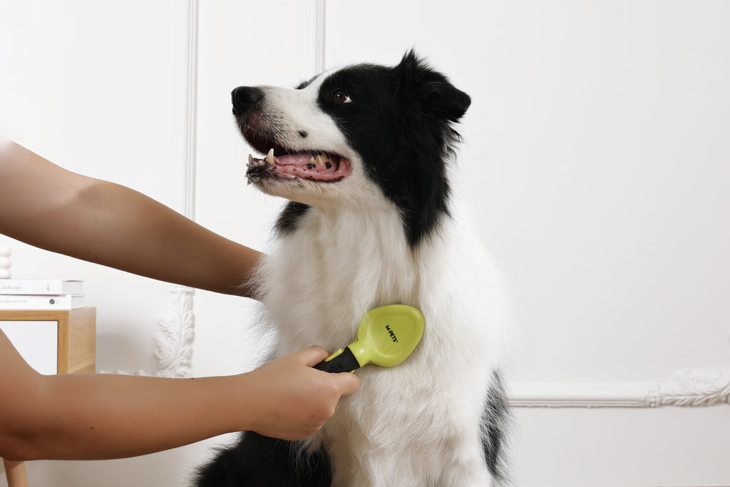 CLICK and GROOM Slicker Brush