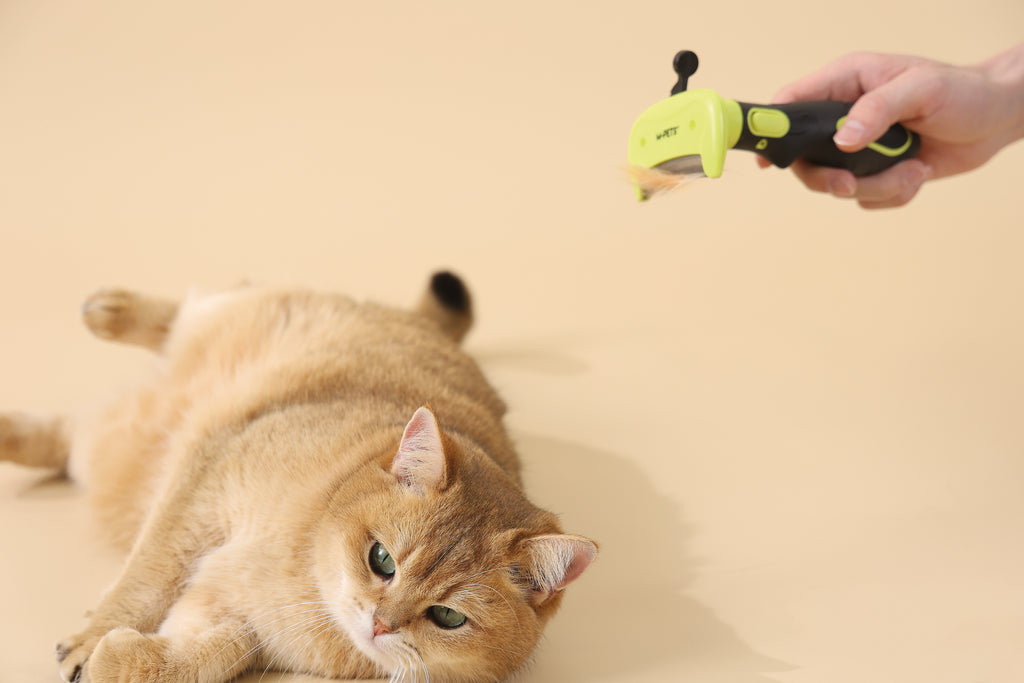 CLICK and GROOM Deshedding Brush