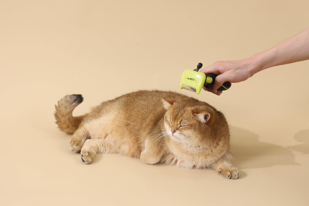 CLICK and GROOM Deshedding Brush