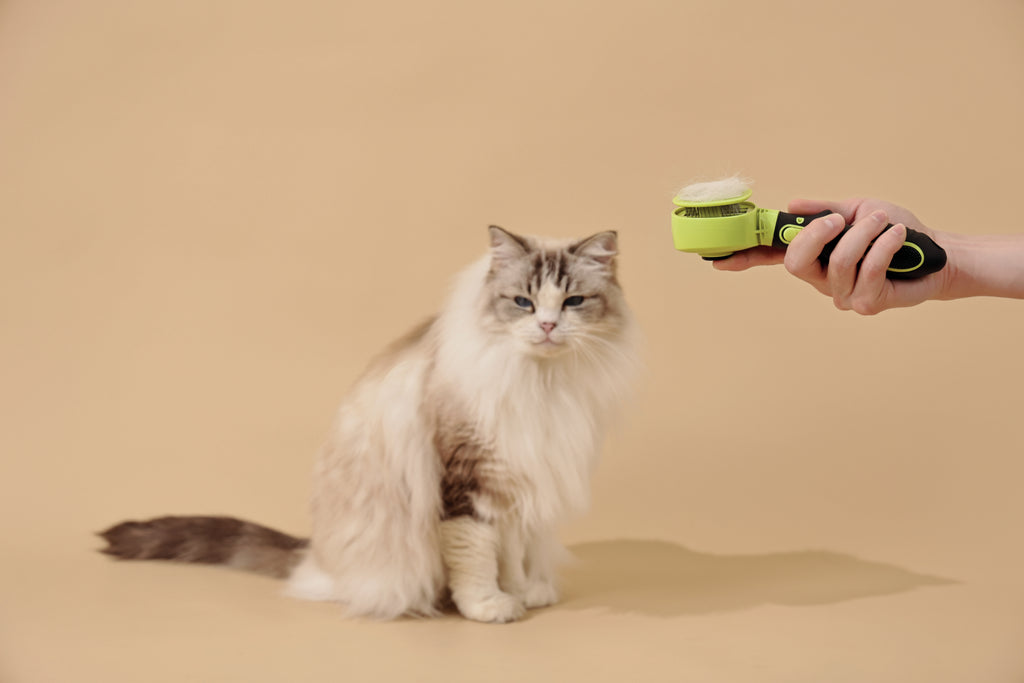 CLICK and GROOM 1-click Cleaning Pin