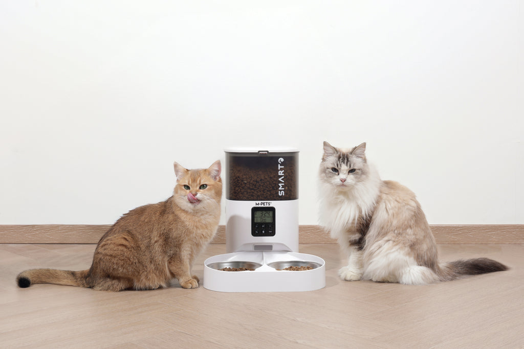 SMARTO M700 4L Automatic Food dispenser