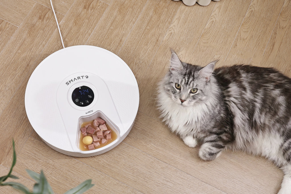 SMARTO M900 Cooling 6 Meal Automatic Food Dispenser