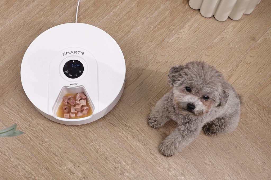 SMARTO M900 Cooling 6 Meal Automatic Food Dispenser