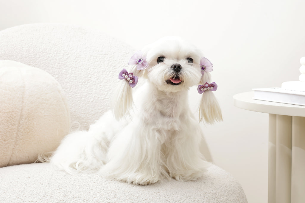 GLAM Hair Accessories for pets rubber band - Purple