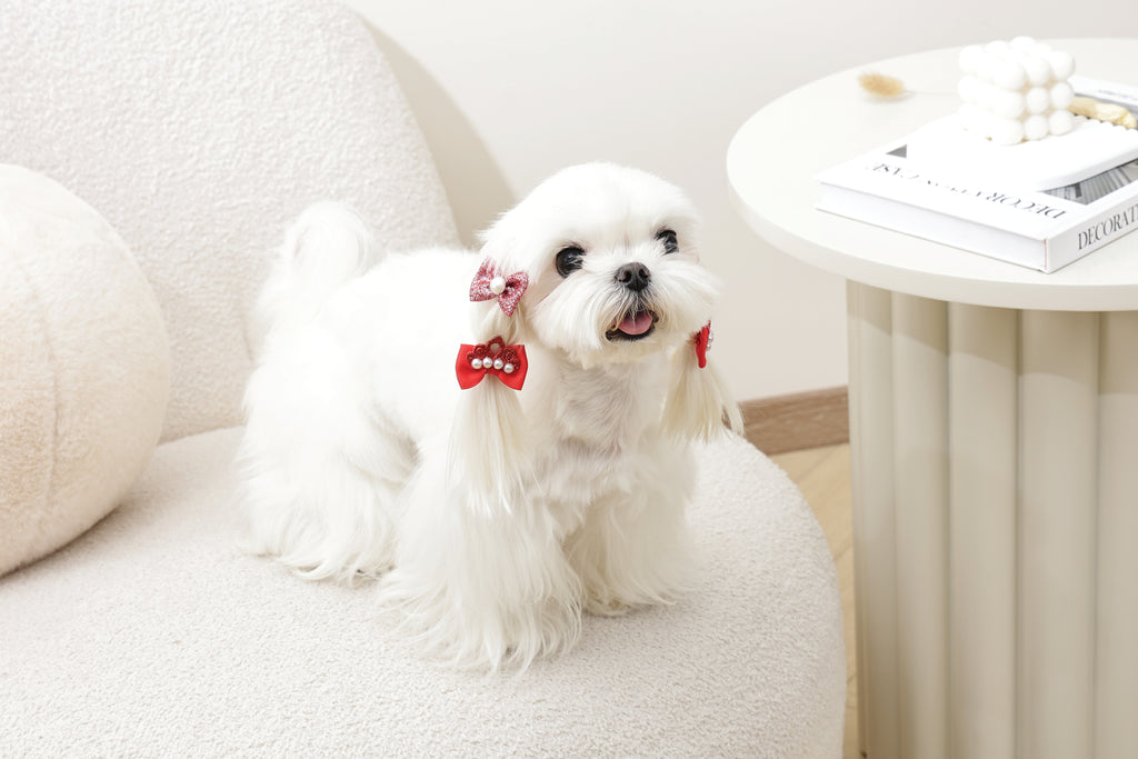 GLAM Hair Accessories for pets rubber band - Red