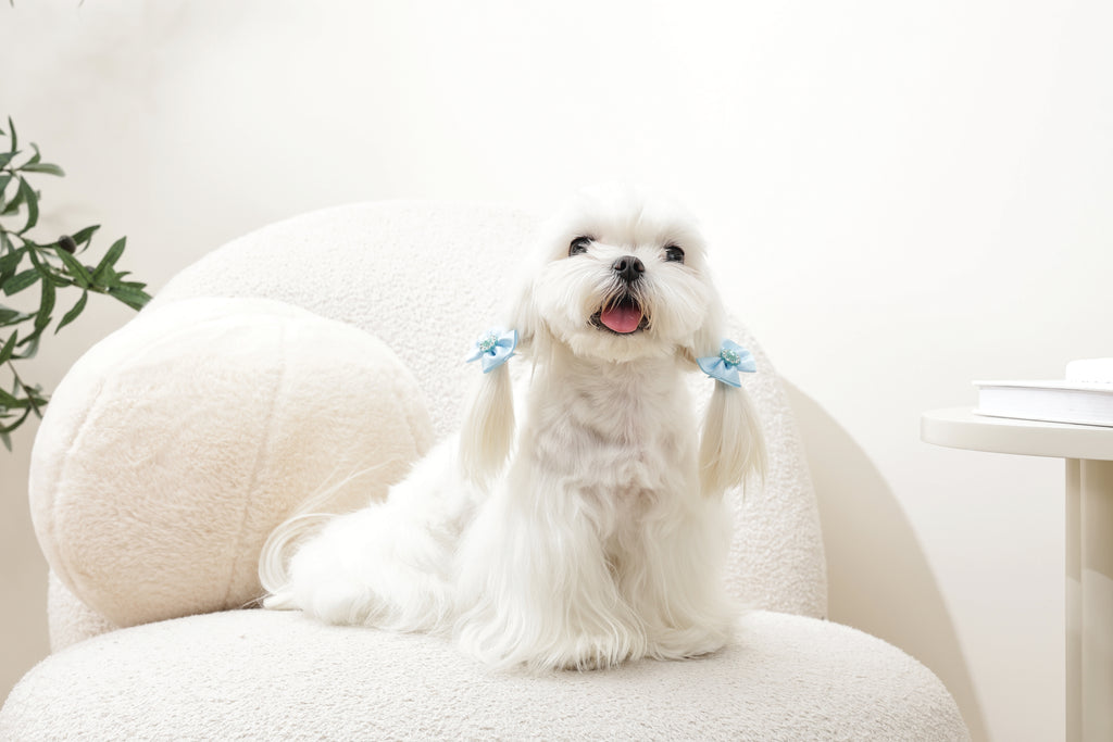 GLAM Hair Accessories for pets rubber band with pearl - Blue