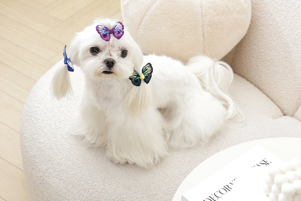 GLAM Hair Accessories for pets rubber band - Blue/Purple/Green