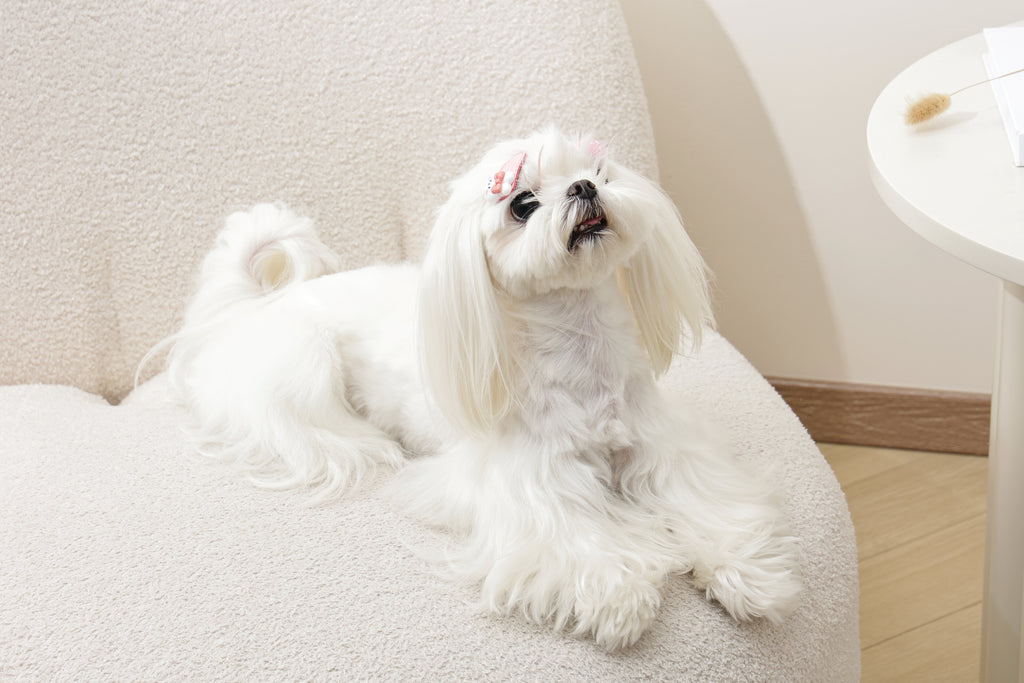 GLAM Hair Accessories for pets clip - Pink