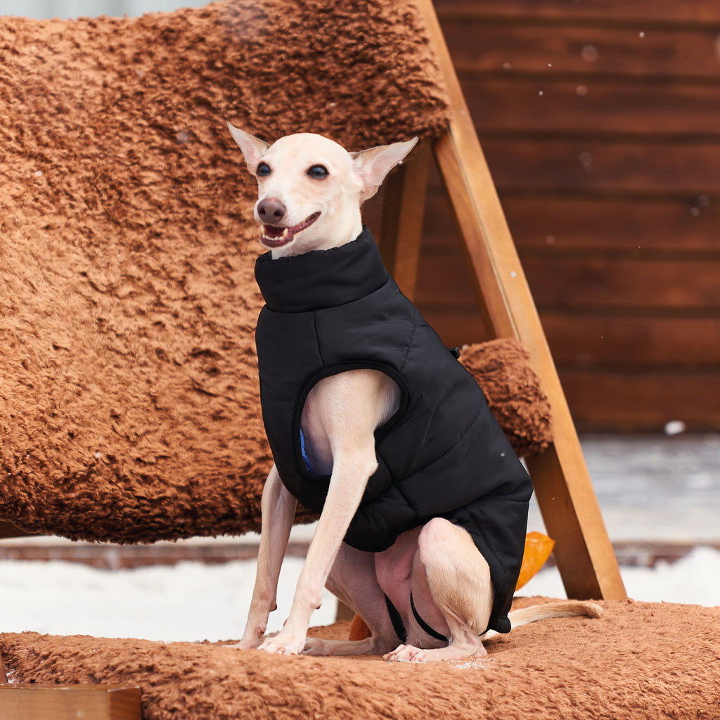 GENTLE DOG Winter Jacket Black&Blue