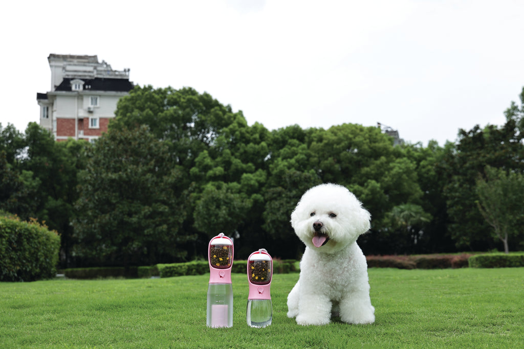 ON THE ROAD Dog water bottle 300 ml - 2 in 1 - Pink bloom