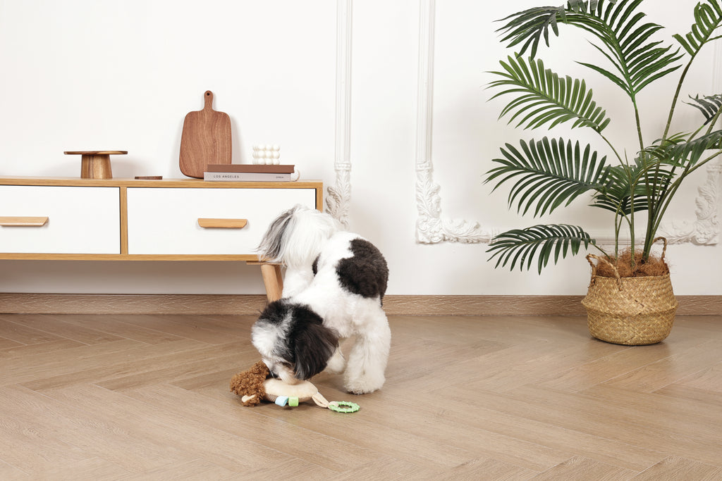 Slippers Dog toy Monkey
