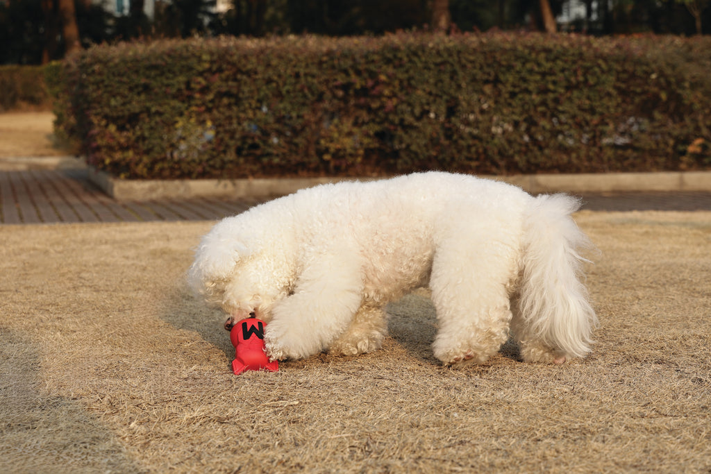 POWER CHEW Dog toy Ruby
