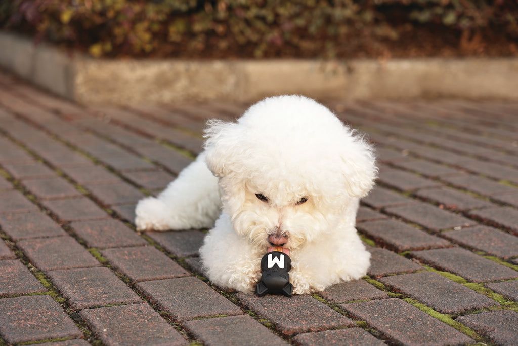 POWER CHEW Dog toy Jet