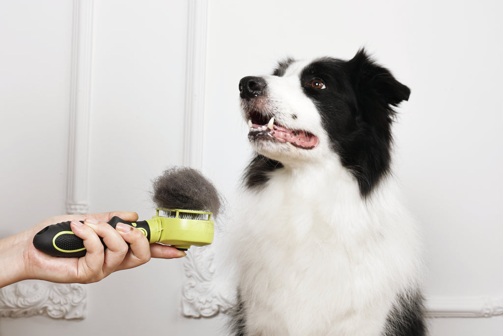 CLICK and GROOM 1-click Cleaning Pin