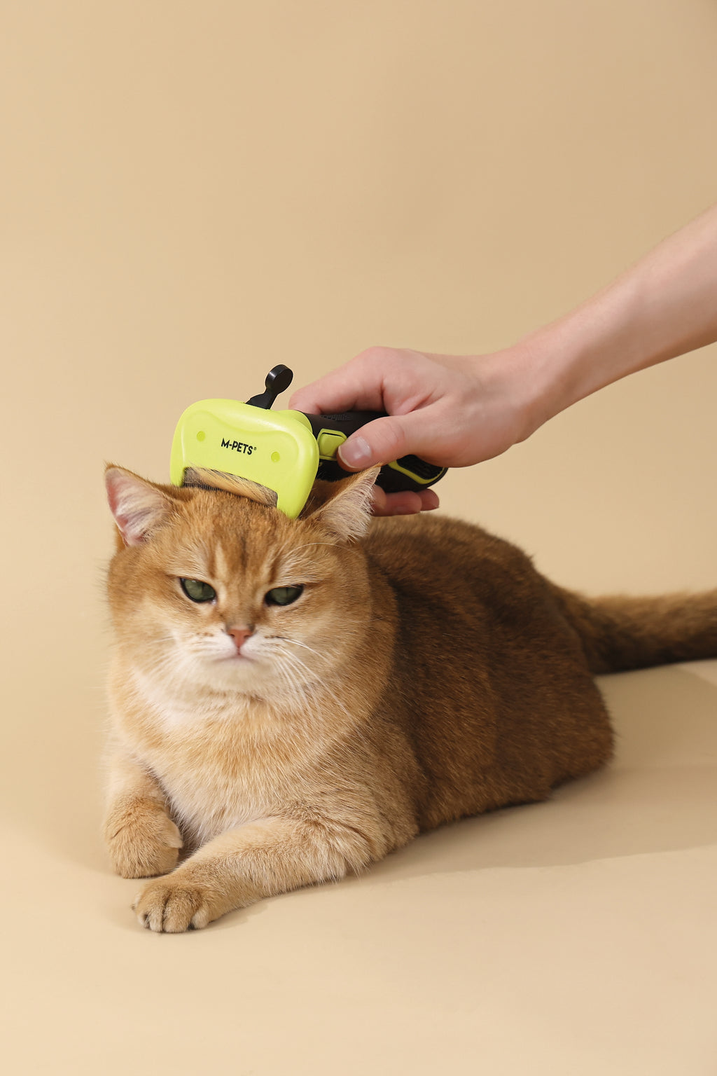 CLICK and GROOM Deshedding Brush