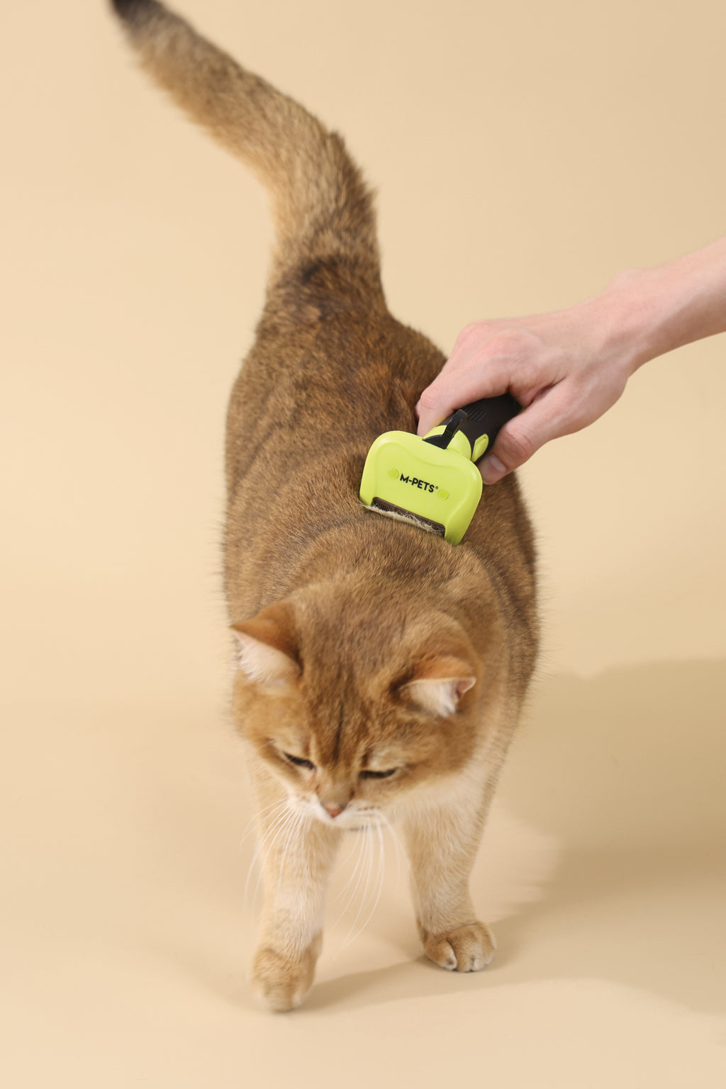 CLICK and GROOM Deshedding Brush