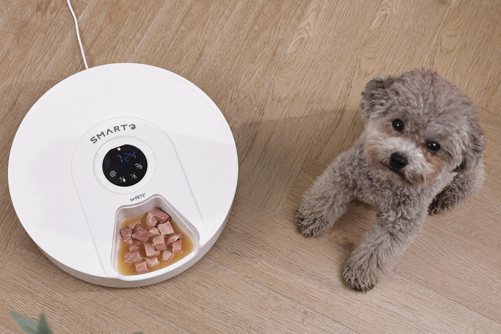 SMARTO M900 Cooling 6 Meal Automatic Food Dispenser