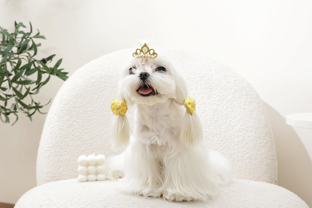 GLAM Hair Accessories for pets clip & rubber band - Yellow