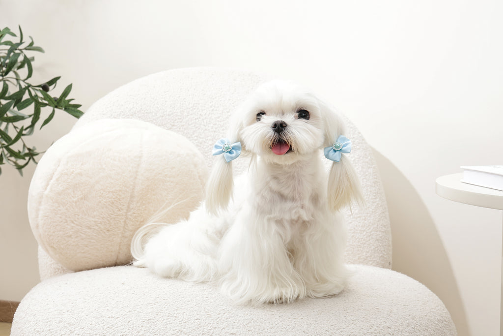 GLAM Hair Accessories for pets rubber band with pearl - Blue