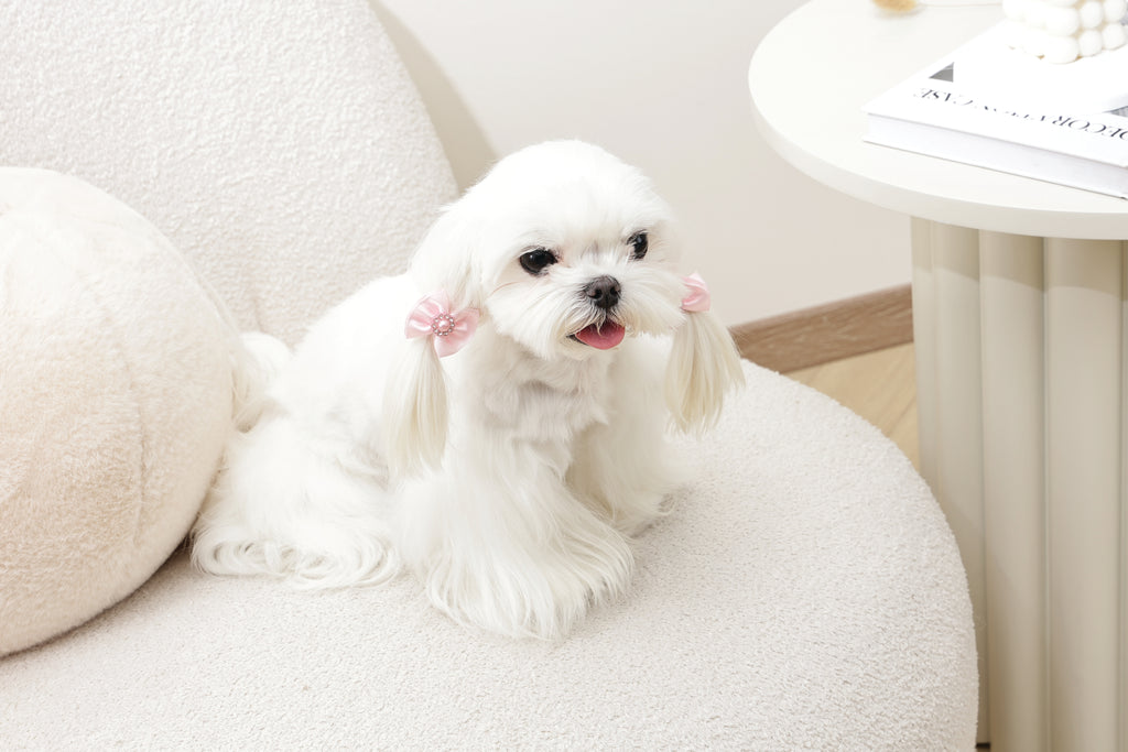 GLAM Hair Accessories for pets rubber band with pearl - Pink