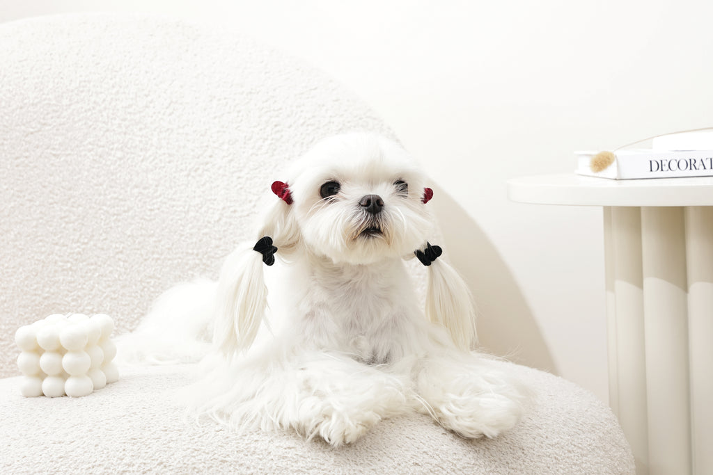 GLAM Hair Accessories for pets heart shape clip - Black & Red