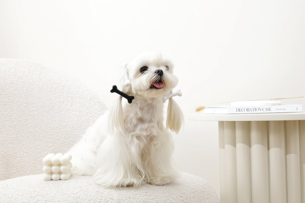 GLAM Hair Accessories for pets bone shape clip - Black &White