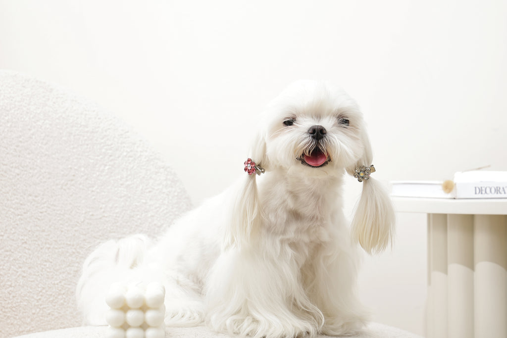 GLAM Hair Accessories for pets flower shape clip - Pink & White