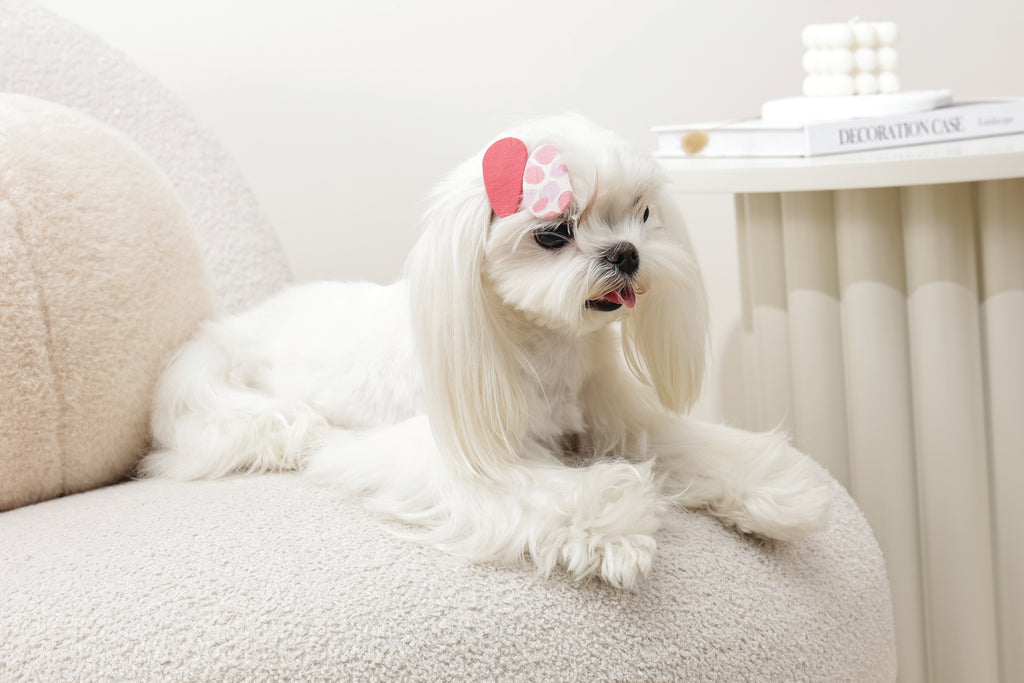 GLAM Hair Accessories for pets clip - Red