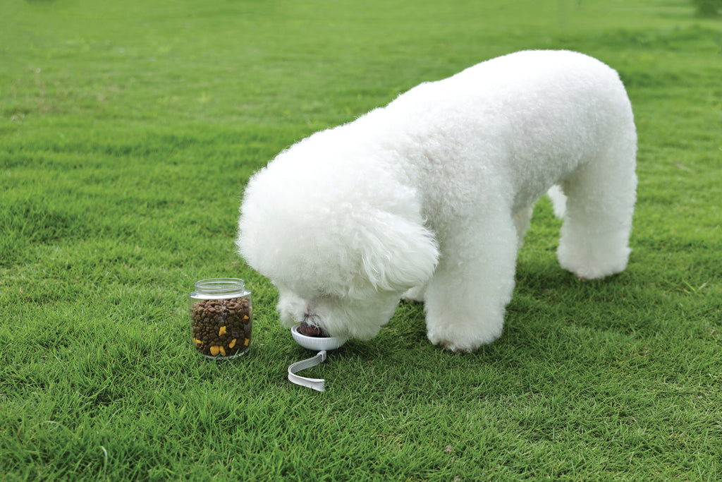 ON THE ROAD Dog water bottle 600 ml - 3 in 1 - Pink bloom