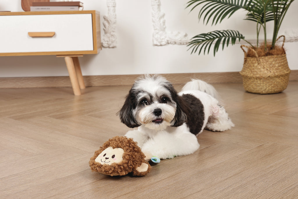 Slippers Dog toy Monkey