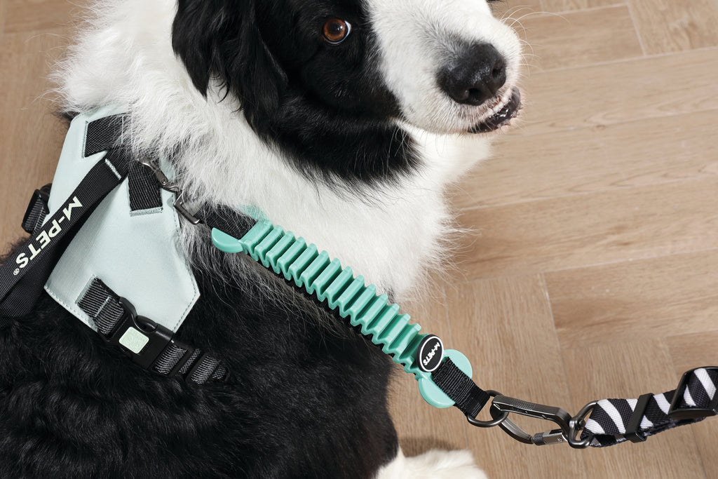 ORIGAMI Dog Harness leafy crease
