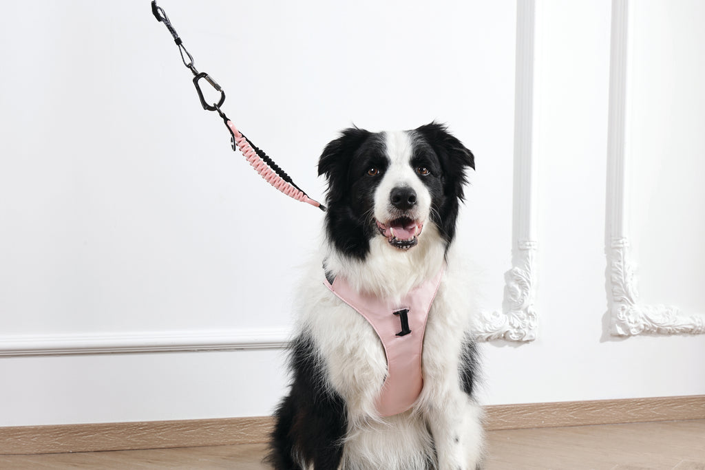PULL POWER Shock absorber Strike Pink