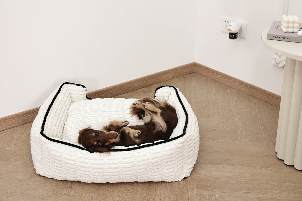 KEEP CALM Calming Pheromone diffuser for DOGS - UK Standard 48ml