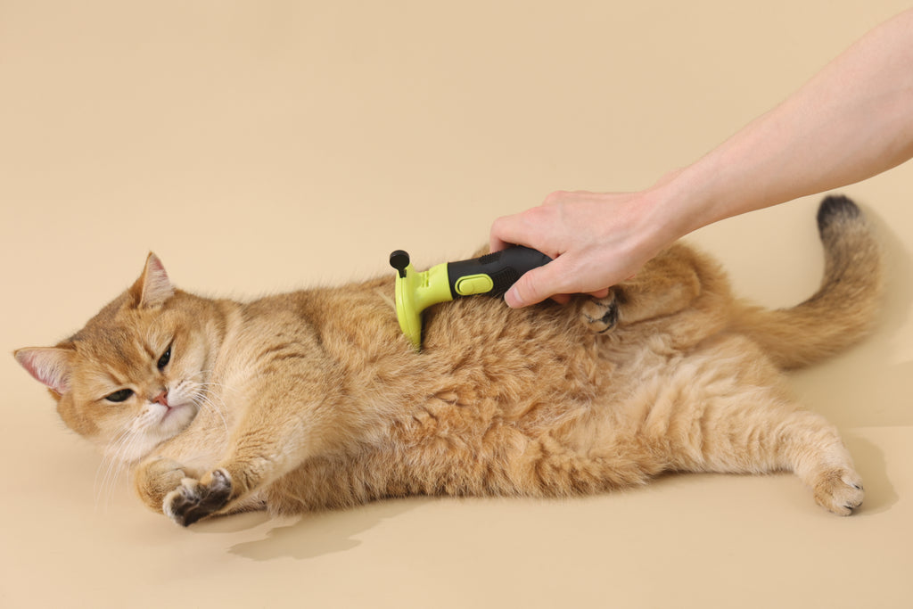CLICK and GROOM Deshedding Brush