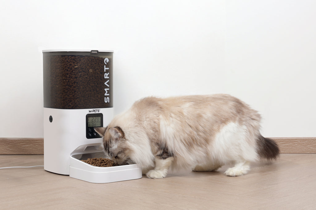 SMARTO M800 6L Automatic Food dispenser