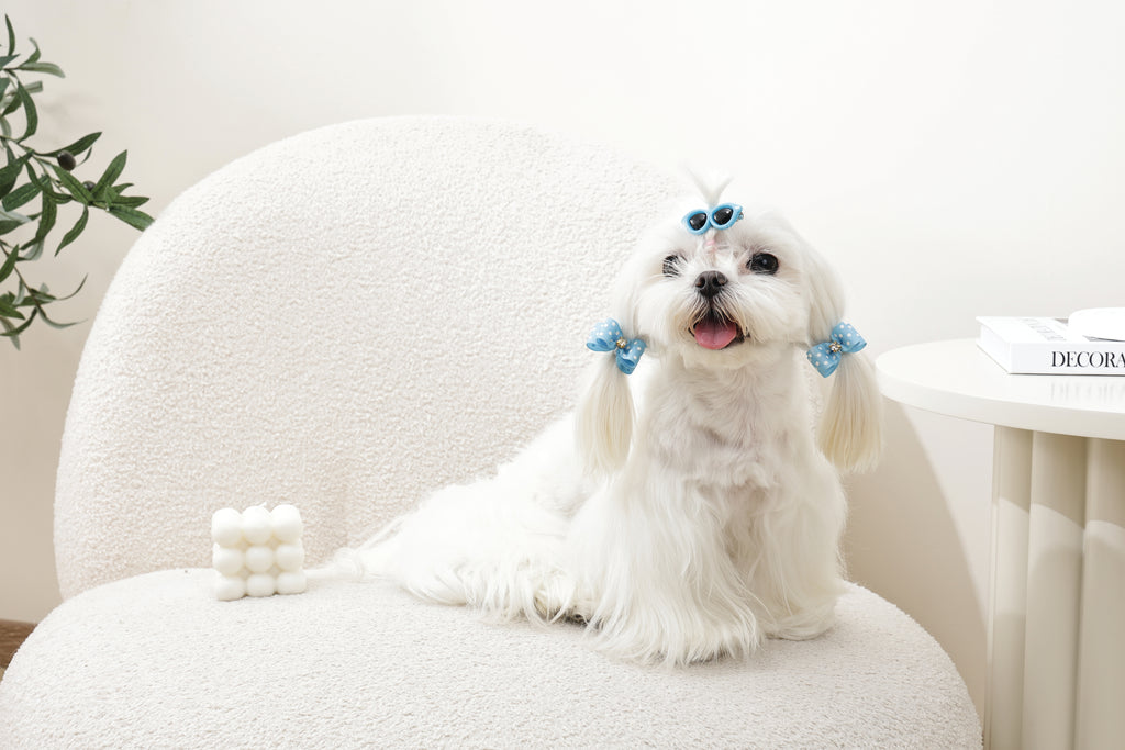 GLAM Hair Accessories for pets clip & rubber band - Blue