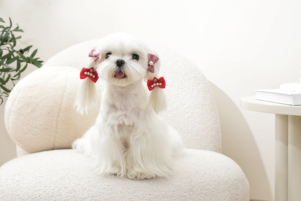 GLAM Hair Accessories for pets rubber band - Red