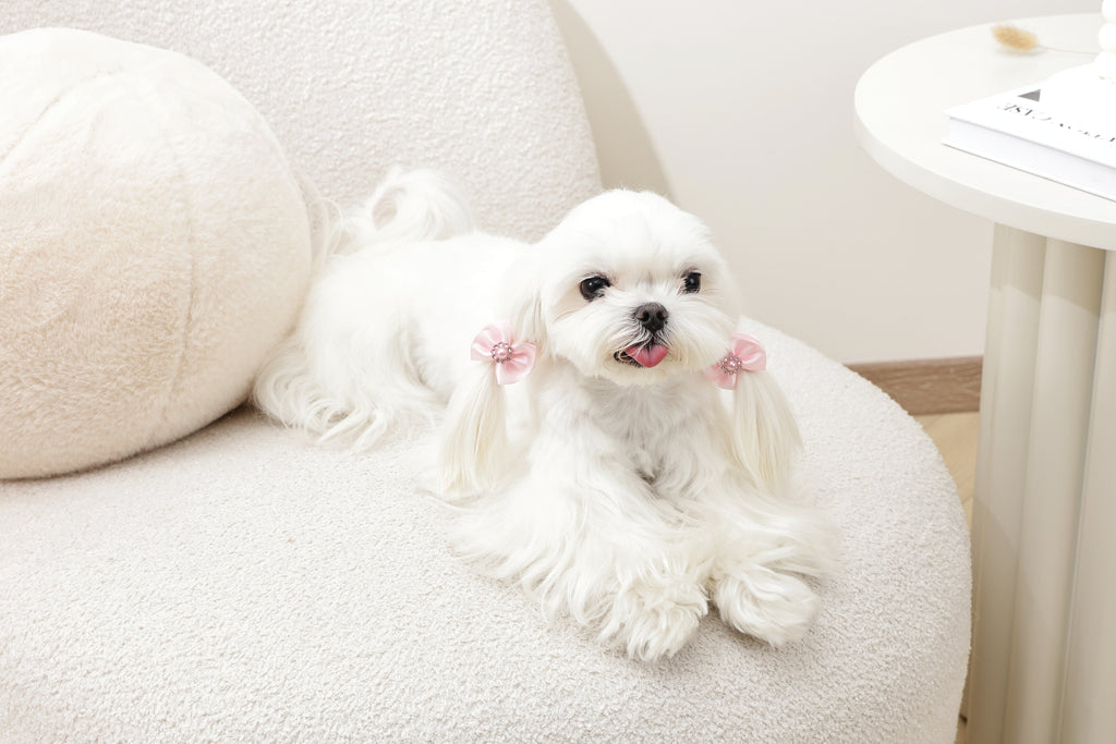 GLAM Hair Accessories for pets rubber band with pearl - Pink