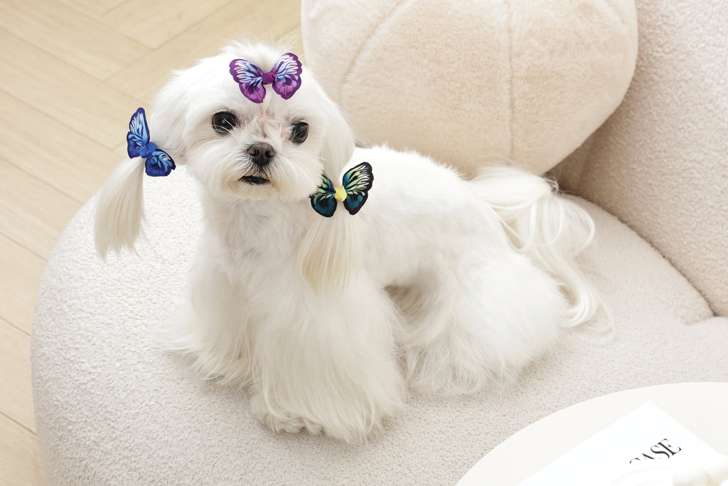 GLAM Hair Accessories for pets rubber band - Blue/Purple/Green