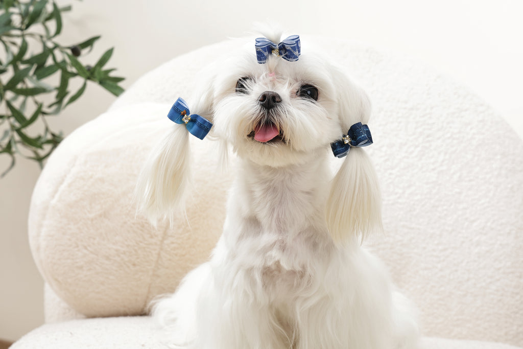 GLAM Hair Accessories for pets rubber band - Blue