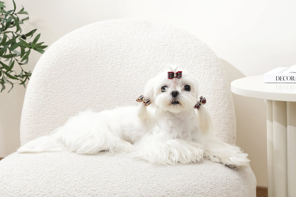 GLAM Hair Accessories for pets clip & rubber - Red