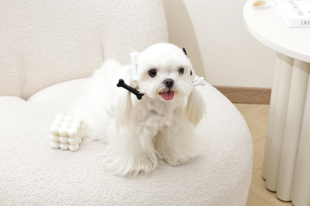 GLAM Hair Accessories for pets bone shape clip - Black &White