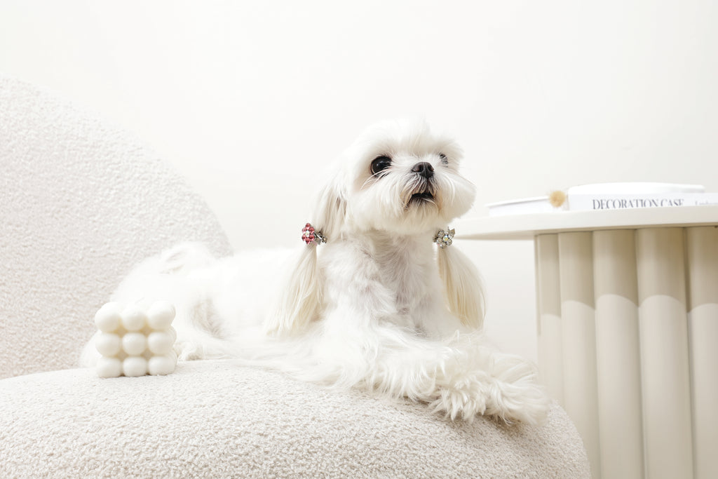 GLAM Hair Accessories for pets flower shape clip - Pink & White